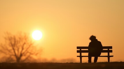 Fototapeta premium A person sitting on a park bench, lost in thought, with their face half-lit by the setting sun, conveying a deep sense of introspection.