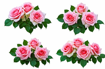  Set of beautiful pink roses with lush green leaves, cut out 