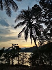 Tropical sunset with silhouetted palms and lush vegetation against golden sky. Tranquil water reflects warm light. Represents paradise, nature's beauty, relaxation, and exotic destinations.