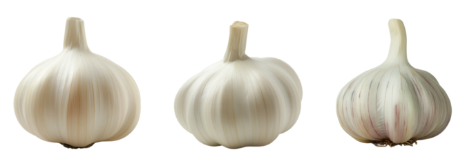 Set of garlic isolated on white