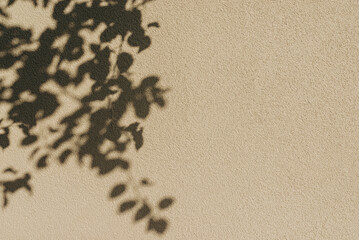 Beige wall texture with tree leaves shadow background