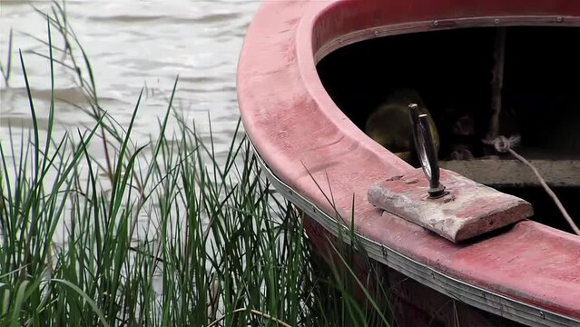 Rowboat Moored on Lake Shore Near Reeds. Close-Up. 4K Resolution.