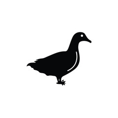 silhouette bird duck on a white background