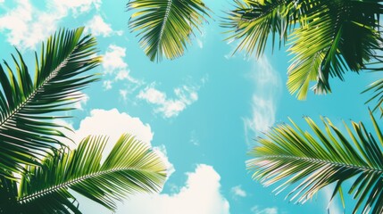 Fototapeta premium palm leaves on blue sky background --ar 16:9 --style raw Job ID: 05f81ad5-06ad-436e-afa8-d239679614b3