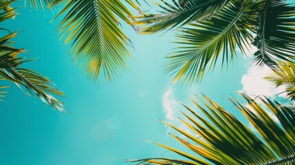 palm leaves on blue sky background --ar 16:9 --style raw Job ID: 6a386e50-0151-44d6-924d-608899d78a19