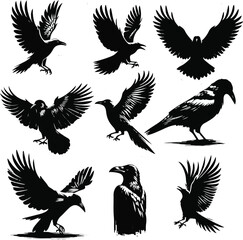 Obraz premium Versatile Crow Silhouettes set Vector