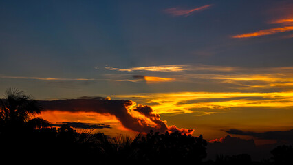 Silhouette of trees behind a beautiful golden sky at sunset, with the
back-light at the horizon transitioning from orange to shades of
golden clouds