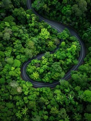 Aerial view of a winding road through lush green forest.