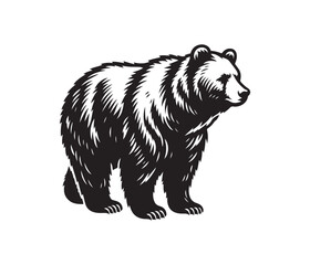 bear vector art graphic resources silhourtte vector style, white background