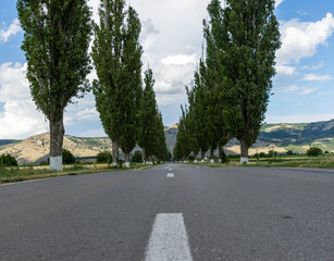 A scenic view of a road with tall poplars leading to the mountains in the distance. The road shown is part of a route leading to the mountains, suggesting they are far away.