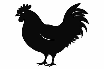 Rooster and chicken, Hen vector illustration, chicken silhouette, Hen silhouette isolated vector Illustration, png, Chicken icon