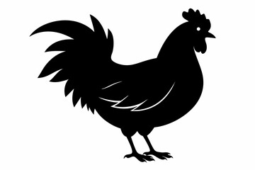 Rooster and chicken, Hen vector illustration, chicken silhouette, Hen silhouette isolated vector Illustration, png, Chicken icon