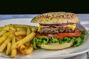 cheeseburger  with  a side of french fries