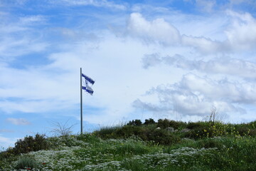 Israel flag on the hill