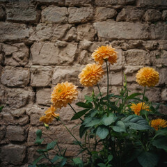bunch of oranges flowers on the wall flowers on the wall