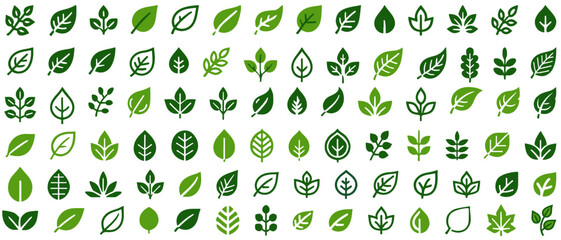 Vector Leaf Icons Collection - High-Quality Botanical Symbols for Graphic Design and Digital Art Projects