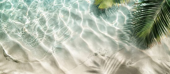 Empty sandy shore with a palm leaf silhouette and clear water ripples from an aerial view, a blank backdrop for travel, leisure, and relaxation with space for text.