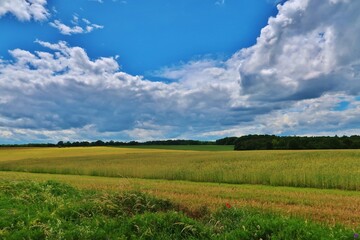 Über die Fluren weit