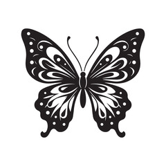 butterfly illustration