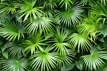 Green jungle foliage, a natural, organic background