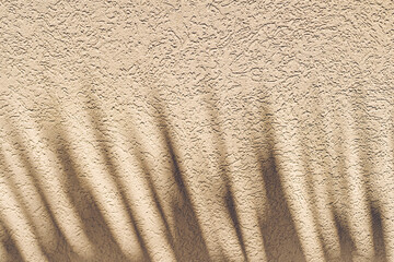 The shadow of sharp leaves against a beige wall. The silhouette of tropical leaves in the sunlight. With space to copy. High quality photo