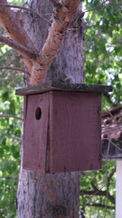 a wooden birdhouse hanging from a tree in the garden.