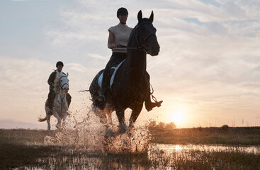 Sunset, happy woman and horse riding in nature for relaxation, freedom and adventure outdoors....