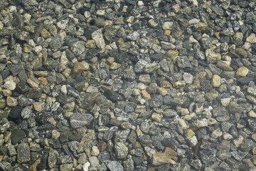 Fjord bottom in Norway. Pebbles on the shore. Untouched nature. Background