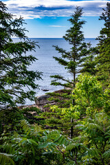 Obraz premium Pine trees and large rocks of the coastline in Acadia National Park