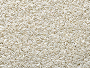 Rice grain texture, clean white rice, texture background