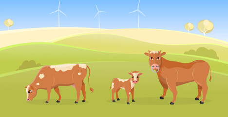 Domestic farm animal. A cow, a calf and a bull are grazing in a meadow. Rural hills. Scenery.