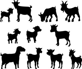 Domestic farm animal. Silhouettes of different goats on a white background.