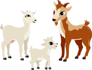Domestic farm animal. Two different goats and a kid on a white background.