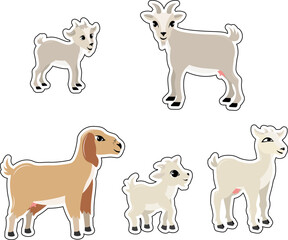 Domestic farm animal. Stickers of different goats and a kid on a white background.