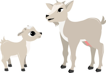 Domestic farm animal. White goat and kid on a white background.