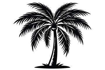 Obraz premium vector set of tropical palm tree silhouettes