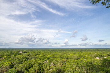 Calakmul, a Maya archaeological site in the deep in the jungles in Campeche, Mexico