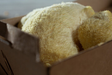 A closeup view of a packaged lion's mane mushroom.