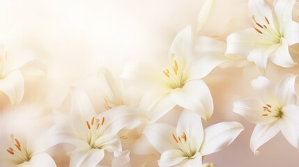 Obraz premium Closeup of white beautiful blooming lilies