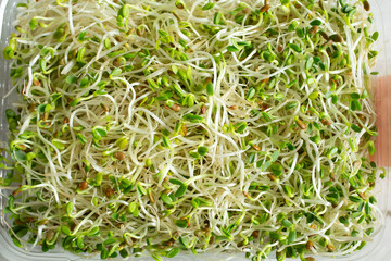 A top down view of a sprouts, as a background.