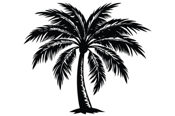 Fototapeta premium vector set of tropical palm tree silhouettes