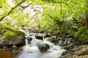 Shallow pools amidst the rocks at the bottom of Aira force water fall in Lake district.