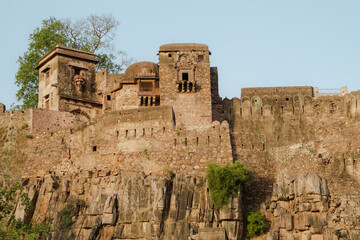 Fototapeta premium ruins remnants of fort. Tropical green and trees of reserve. Ranthambore National Park, Rajasthan, India