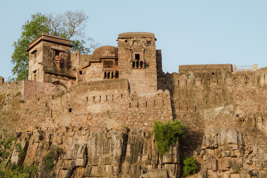 ruins remnants of fort. Tropical green and trees of reserve. Ranthambore National Park, Rajasthan, India