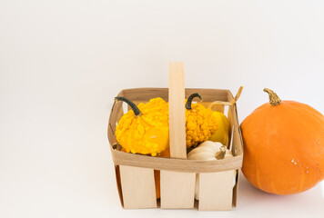 Orange pumpkins in a basket with copy space. Thanksgiving and Halloween background.