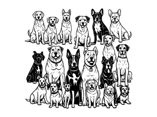 Detailed Black and White Line Art Illustration of a Dog's Face. Intricate and Realistic Canine Portrait Capturing the Essence of Animal Features with Hand-Drawn Precision for Artistic and Monochrome P