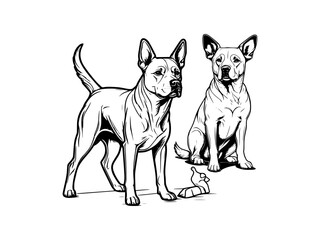 Detailed Black and White Line Art Illustration of a Dog's Face. Intricate and Realistic Canine Portrait Capturing the Essence of Animal Features with Hand-Drawn Precision for Artistic and Monochrome P