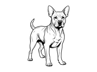 Detailed Black and White Line Art Illustration of a Dog's Face. Intricate and Realistic Canine Portrait Capturing the Essence of Animal Features with Hand-Drawn Precision for Artistic and Monochrome P