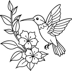 Fototapeta premium A hummingbird is perched on a flower