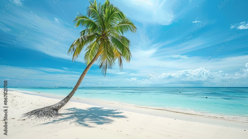 Canvas Prints A serene beach scene featuring a lone palm tree leaning over pristine white sand with calm turquoise waters and a clear blue sky in the background.